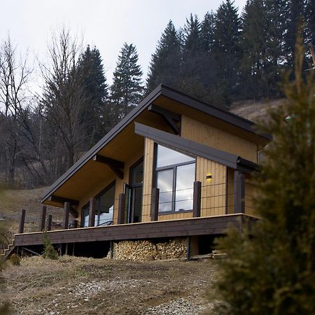 Apartamento Petrick House Verkhovyna Exterior foto