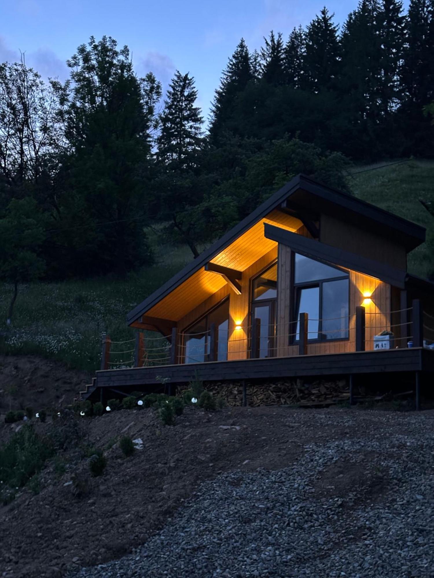 Apartamento Petrick House Verkhovyna Exterior foto
